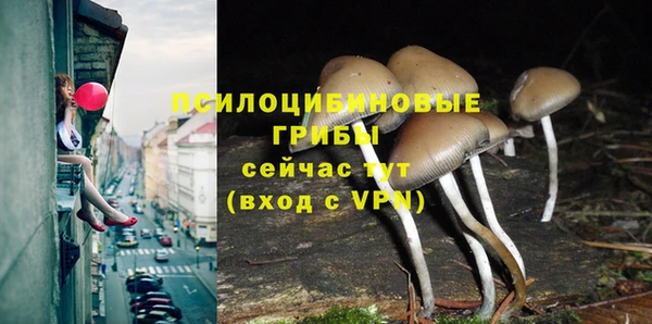 гидра Карталы