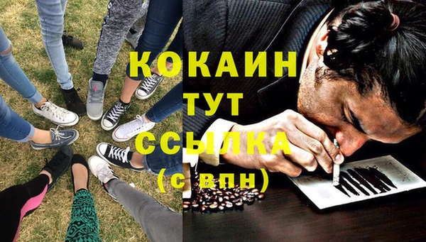 гидра Карталы