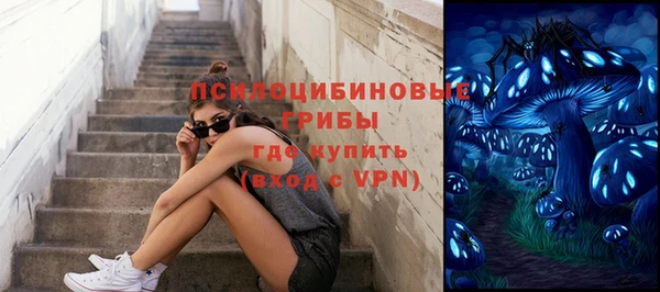гидра Карталы
