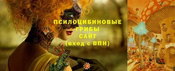 гидра Карталы